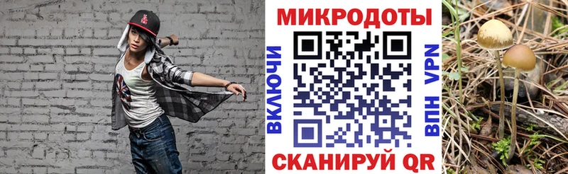 Купить  Саранск  Псилоцибиновые грибы Psilocybine cubensis 